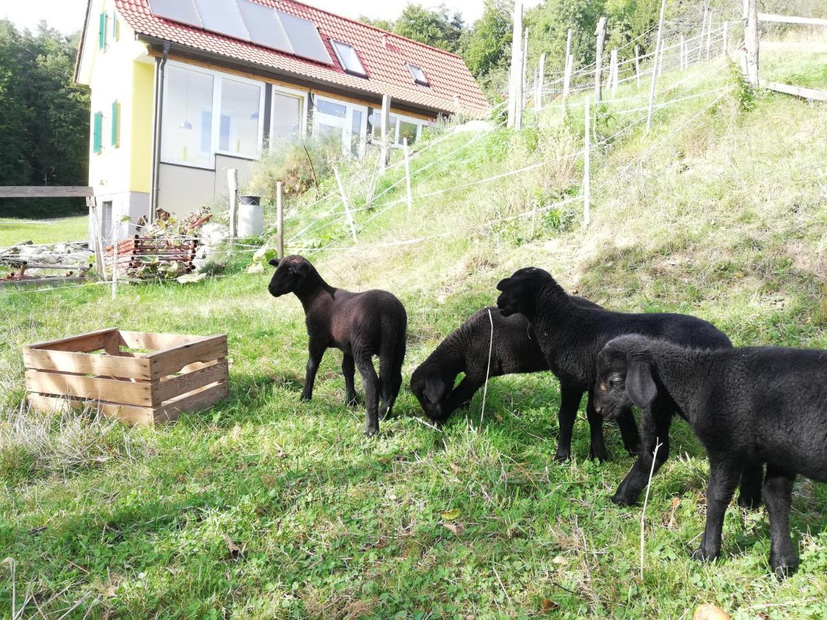 Ferienhaus Grabenhansl Stubenberg Εξωτερικό φωτογραφία