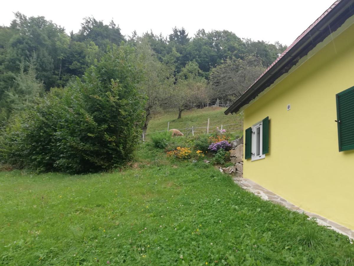 Ferienhaus Grabenhansl Stubenberg Εξωτερικό φωτογραφία