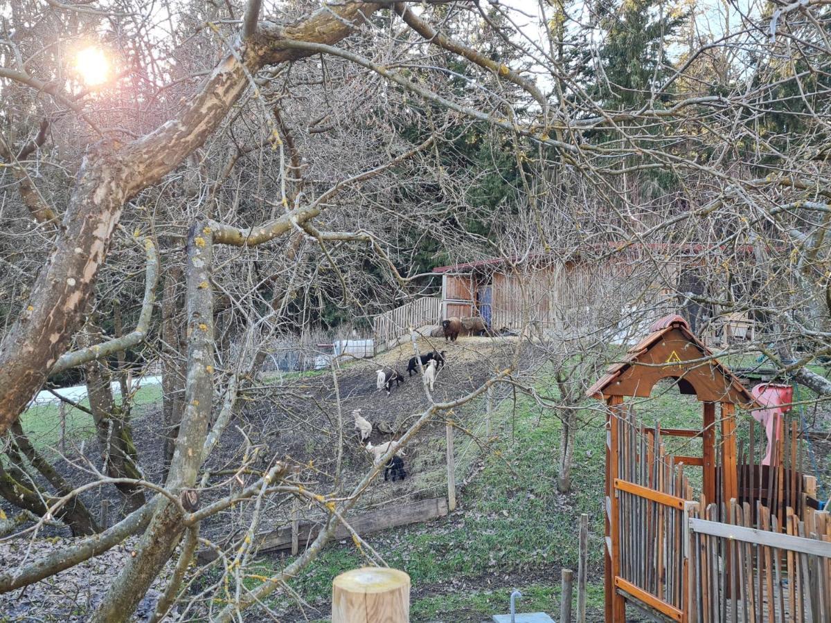 Ferienhaus Grabenhansl Stubenberg Εξωτερικό φωτογραφία