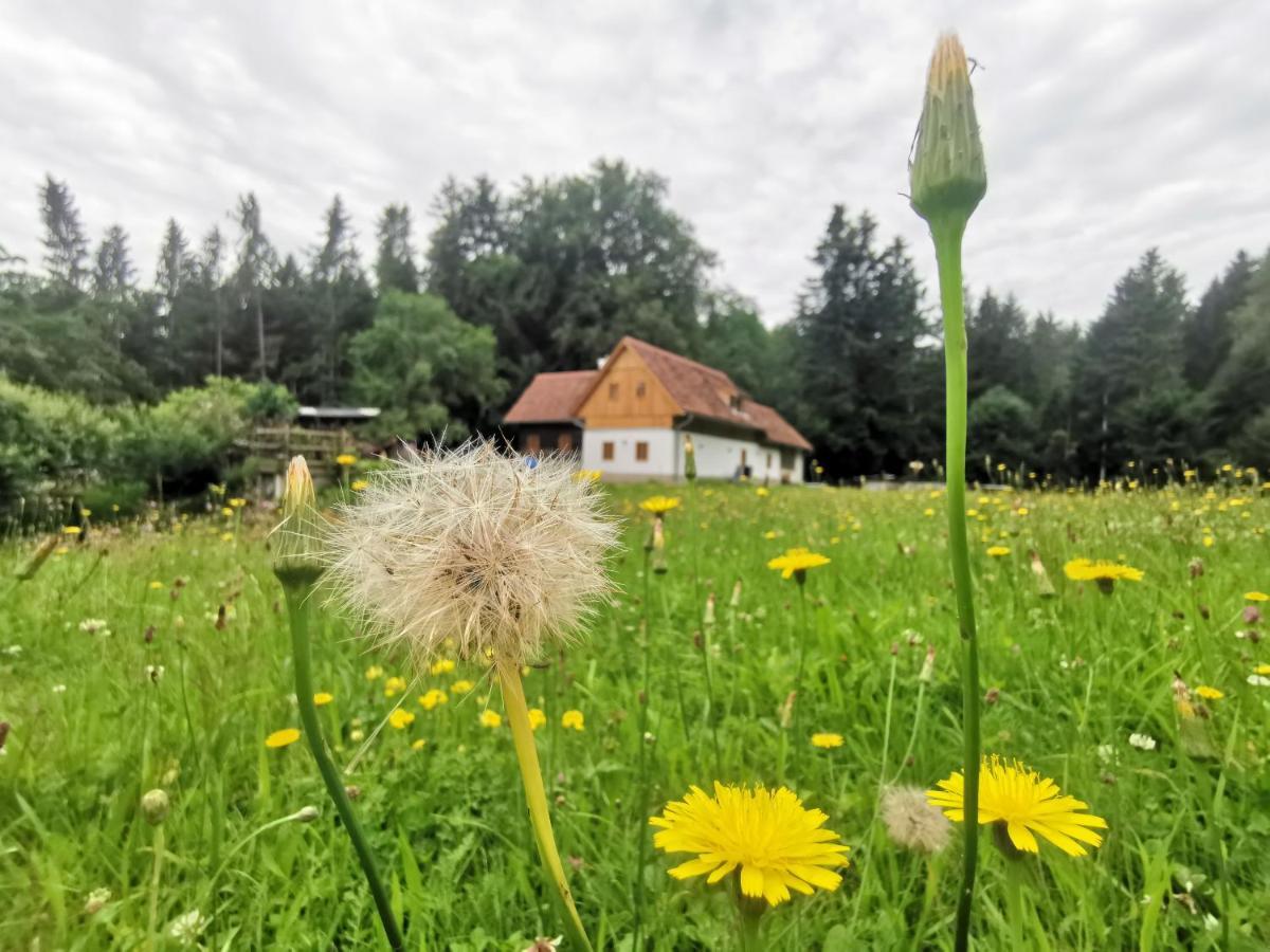 Ferienhaus Grabenhansl Stubenberg Εξωτερικό φωτογραφία