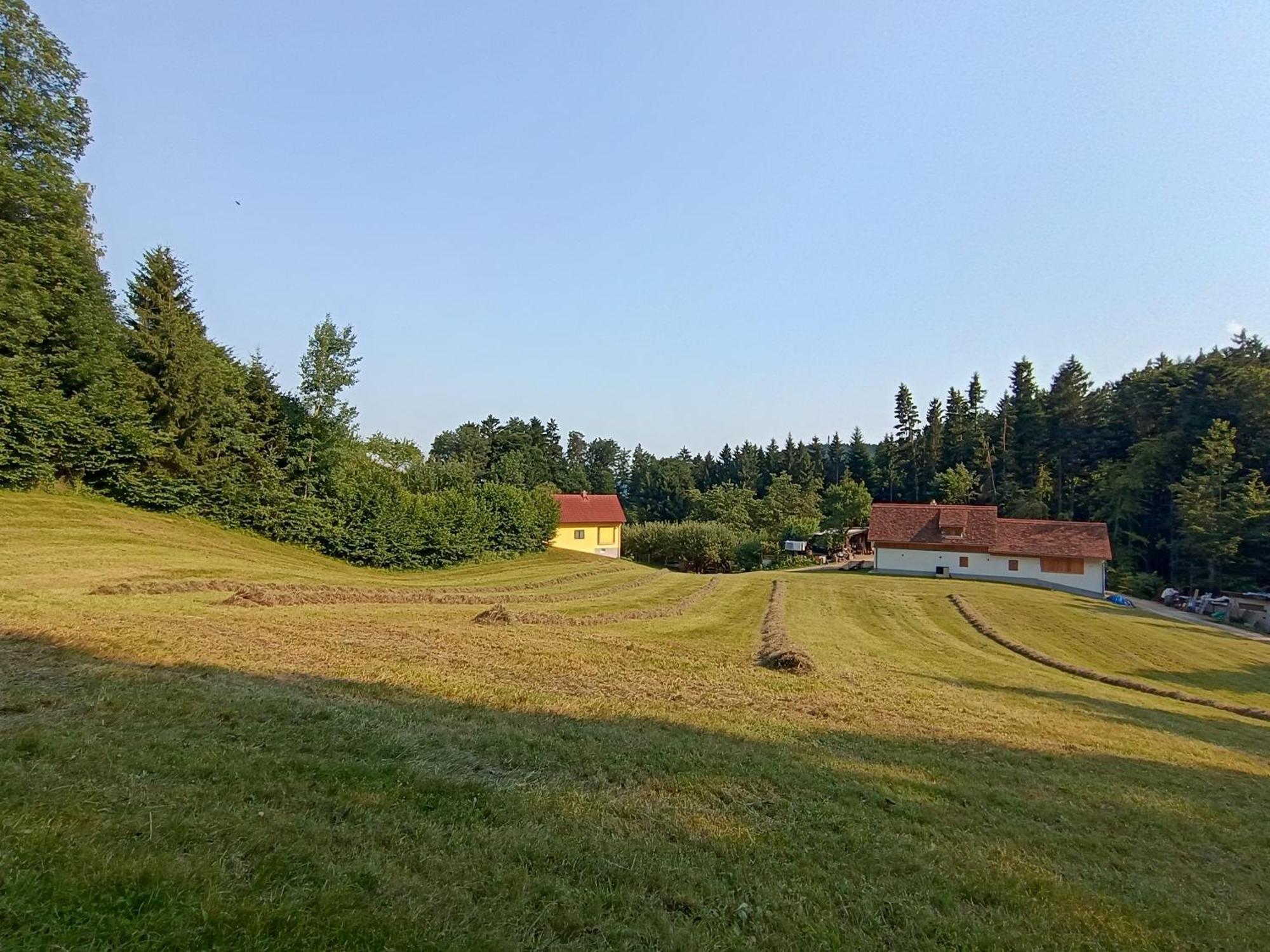 Ferienhaus Grabenhansl Stubenberg Εξωτερικό φωτογραφία
