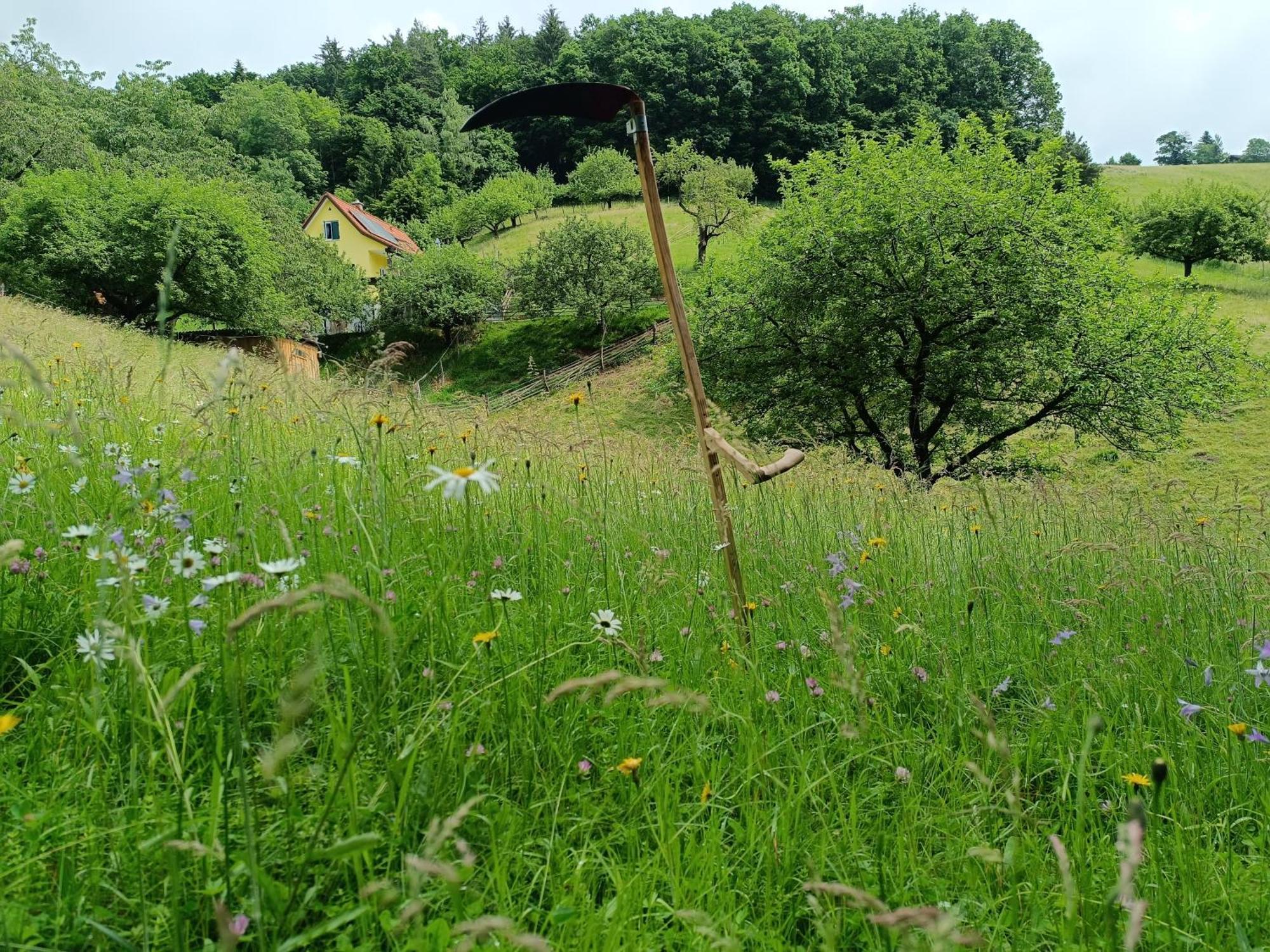Ferienhaus Grabenhansl Stubenberg Εξωτερικό φωτογραφία